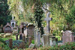 Grabsteine auf einem Friedhof